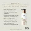 Zita Ayurveda Revitalizing Shampoo